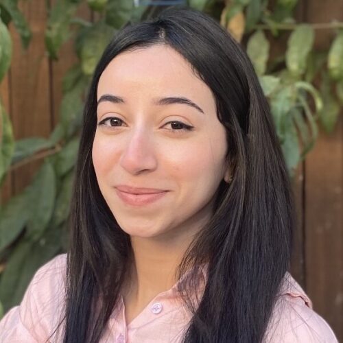 Amna Hmeedat, Palestine